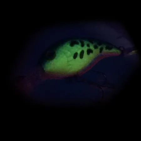 Bass Pro Shops XPS Lazer Eye Deep Diver., Fire Tiger (Ognisty Tygrys), 12 g wobler #10341