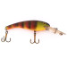  Cotton Cordell Wally Diver, Okoń (perch), 14 g wobler #10540