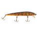  Rebel Floater Mystic Minnow Jointed J12, , 9 g wobler #10572