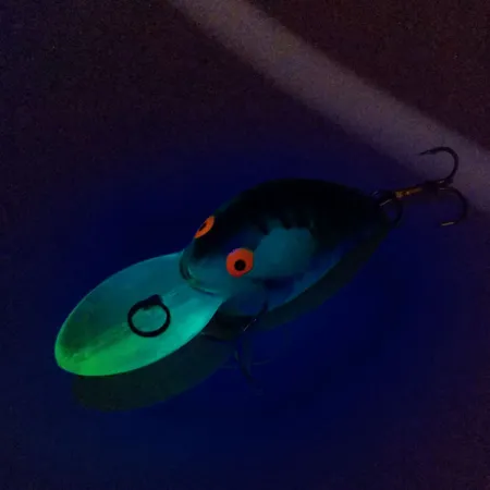 Bill Dance Signature Bomber Fat A, 18 g wobler #10903