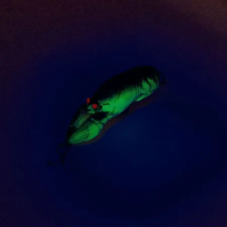 Rebel Wee-Crawfish Shallow UV (świeci w ultrafiolecie), 2,5 g wobler #10904