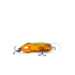  Rebel Wee-Crawfish Shallow UV (świeci w ultrafiolecie), , 2,5 g wobler #10904