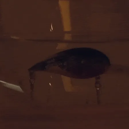 Other Bite Lite Cobra (z migającą diodą LED), 21 g wobler #10905