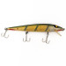  Smithwick Suspending Rattlin’ Rogue, Okoń (perch), 12 g wobler #11173