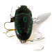  Heddon Crazy Crawler, Żaba, 14 g wobler #11334