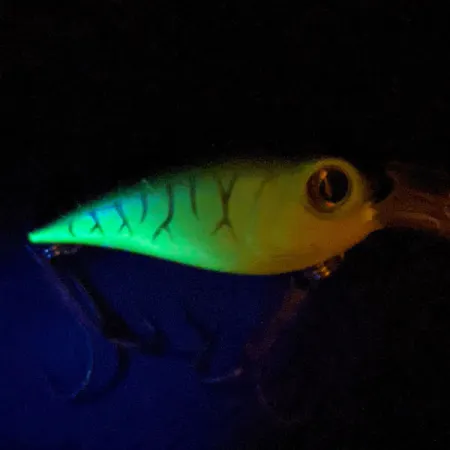 Renegade Dancing Crank, Fire Tiger (Ognisty Tygrys), 10 g wobler #13520