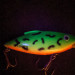  ​Bill Lewis DIVIN' MAG TRap Rat-L-Trap Floater, Fire Tiger (Ognisty Tygrys), 10 g wobler #15010