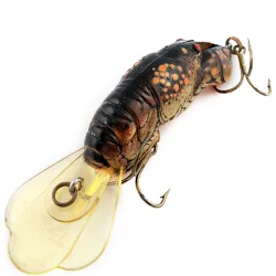 Rebel Big Crawh