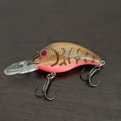 Bandit 200