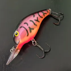 Bandit 200