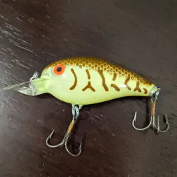 ​Rebel Crank R
