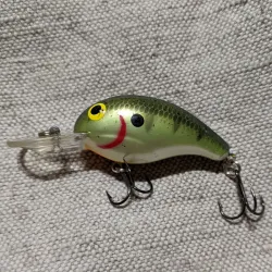 Bandit 200