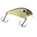  Strike King KVD Silent square bill, Oliwkowy Shad, 12 g wobler #16780