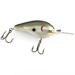 Bagley Diving B III