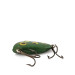 Atlantic Lures Atlantic lures Swanee, Frog, 5,5 g wobler #18616