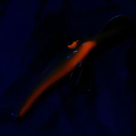 Lindy / Little Joe Lindy Little Joe Master's Series Baitfish, Tiger, 12 g wobler #19764