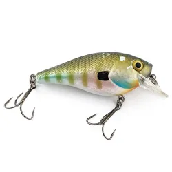 Berkley squarebull 3.5