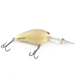 Norman DD22