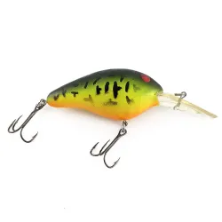 Norman DD22 