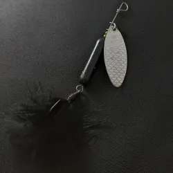 Swiss Swing