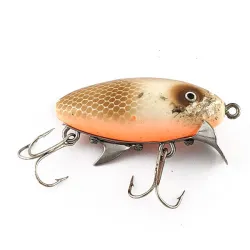 Clarks Water Scout Wood 