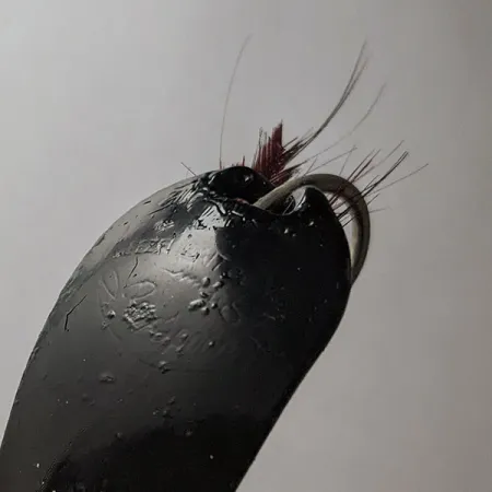 Weezel Rex Spoon, black, 12 g #21779