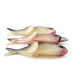 Creme Lure Co Creme Lit'l Fishie 2" Rigged Shad Black Back Pink, Shad Black Back, Pink,  g  #21970