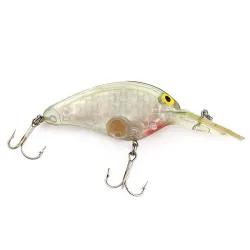 Norman DD22