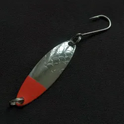 Needlefish 1