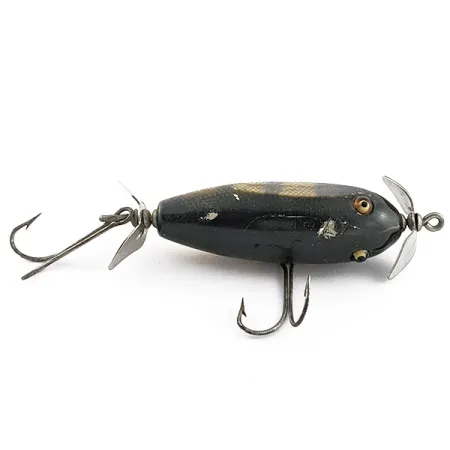 Creek Chub Injured Minnow 