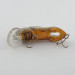  Rebel Wee-Crawfish, Crawfish, 2,5 g wobler #23557
