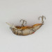  Rebel Wee-Crawfish, Crawfish, 2,5 g wobler #23557