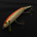  Rebel Floater F14 Jointed, orange/gold, 14 g wobler #23705