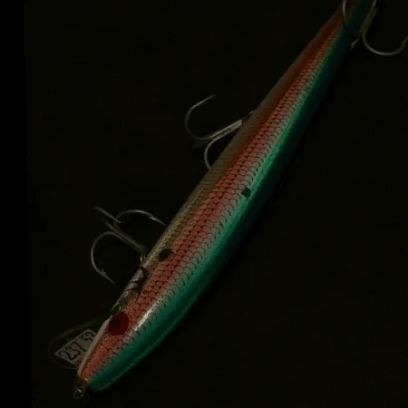 Rebel Floater F14, trout, 14 g wobler #23753