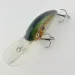  Bomber Fat Free Shad Bill Dance, , 14 g wobler #23836