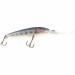  Rapala Down Deep Husky Jerk DHJ10,  Rainbow Trout, 11 g wobler #23994