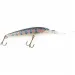  Rapala Down Deep Husky Jerk DHJ10,  Rainbow Trout, 11 g wobler #23994