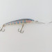  Rapala Down Deep Husky Jerk DHJ10,  Rainbow Trout, 11 g wobler #23994