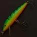  Rapala Husky Jerk 7, FT (Ognisty Tygrys), 7 g wobler #24008