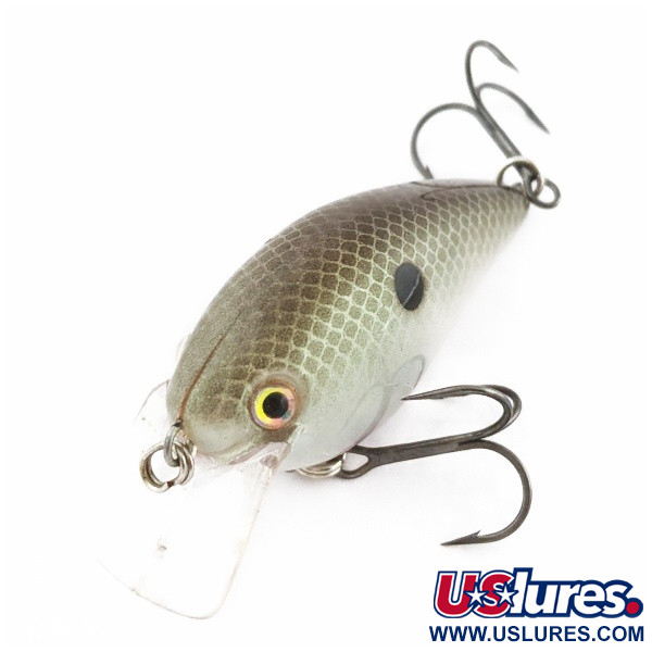  Strike King KVD 1.5 Silent square bill, Olive Sexy Shad, 12 g wobler #24028