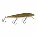  Rebel Floater F12, Naturalized Baby Bass, 9 g wobler #24167