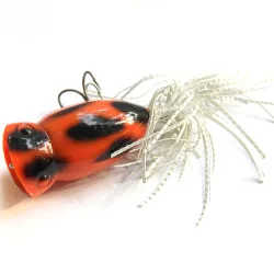 popper Popper Atlantic Lures