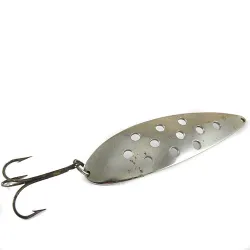 Spoonfish