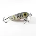  Fred Arbogast Jitterbug Jointed, Tygrys, 10 g wobler #1831