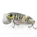  Fred Arbogast Jitterbug Jointed, Tygrys, 10 g wobler #1831