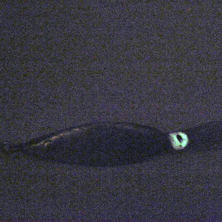 Błystka antyzaczepowa Fred Arbogast 3 Hawaiian (świeci w ciemności), 16 g błystka wahadłowa #3338