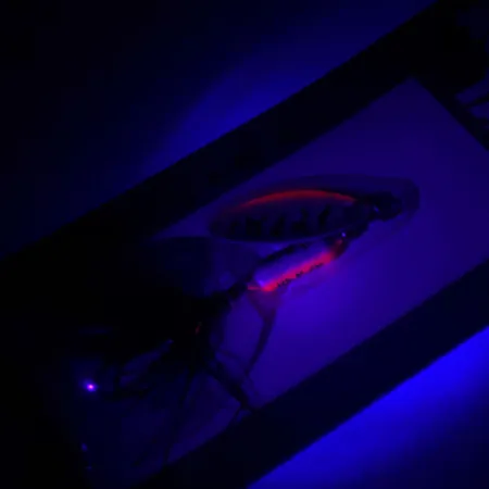 Yakima Bait Worden’s Original Rooster Tail, Fire Tiger (Ognisty Tygrys), 1,77 g błystka obrotowa #4321