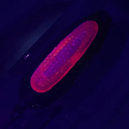 Blue Fox Rattlin Pixee UV (świeci w ultrafiolecie), złoty/czerwony, 14 g błystka wahadłowa #4749