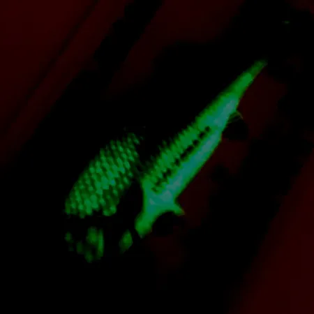 Northland Live Forage (świeci w ciemności), Tęczowa ryba, 7 g błystka wahadłowa #5140