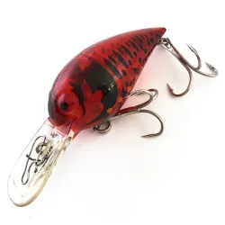 Wiggle Wart